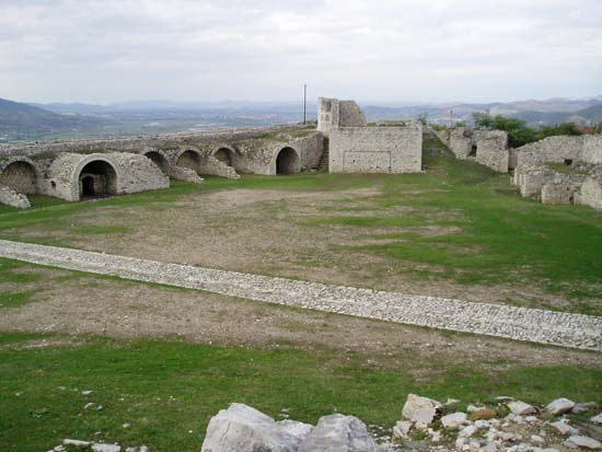 PA080098
