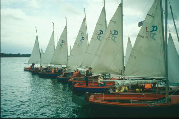 359-1 0036