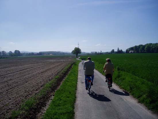 P5050008
