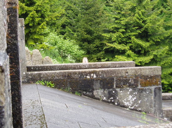 P5170020