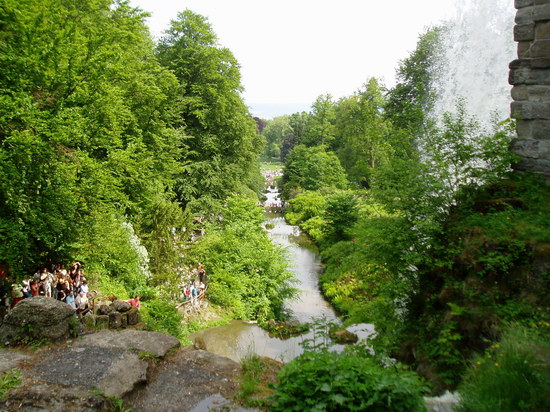 P1010031
