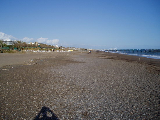 P3110130