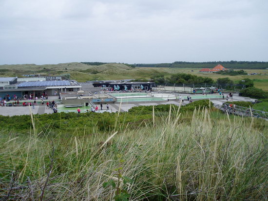 P7210033