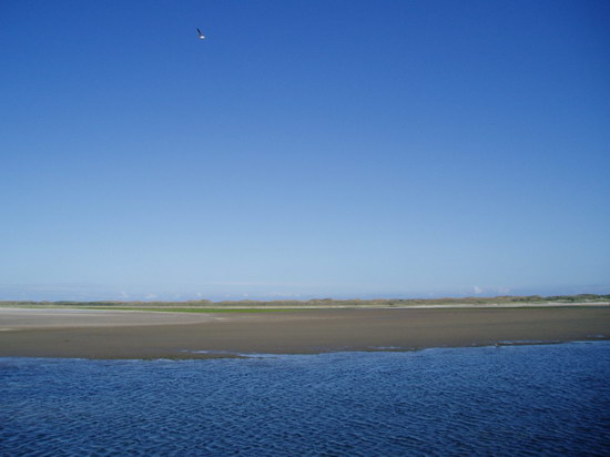 P7230108