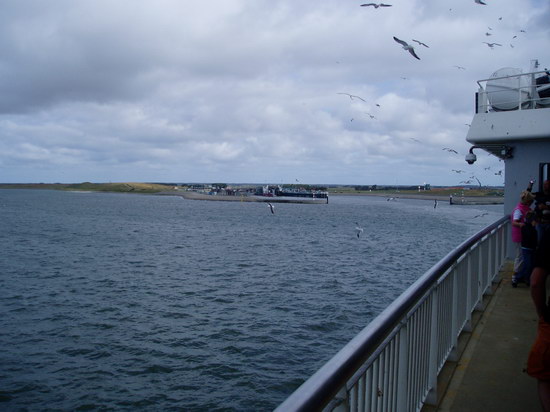 P7250002