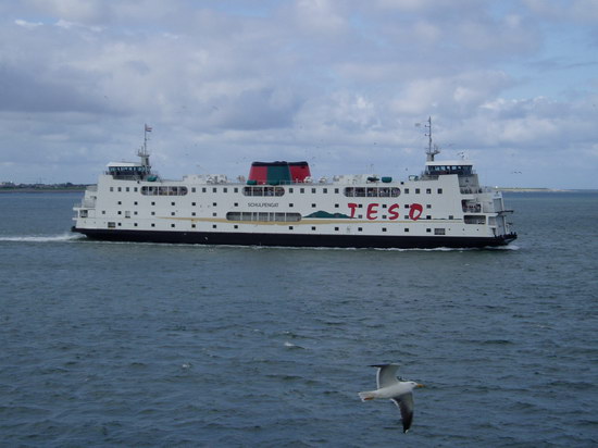 P7250004