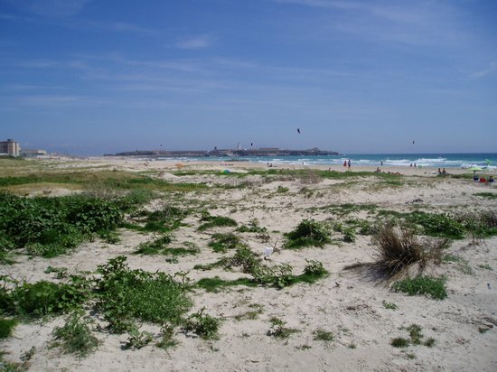 P6060047