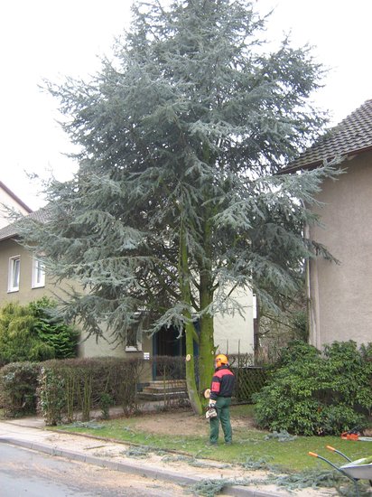 IMG 0591