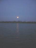 dsc01305