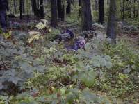 bild051