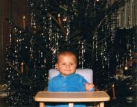 080 tannenbaum