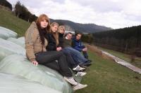 IMG 4477