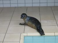 IMG 4934