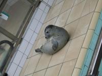 IMG 4938