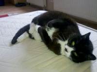 IMG-20130514-WA0001