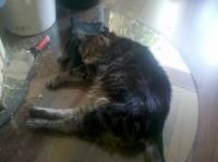 IMG 20130112 132902