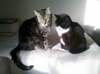 IMG 20130420 075635