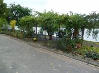 P1040158