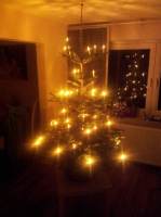 Weihnachtsbaum
